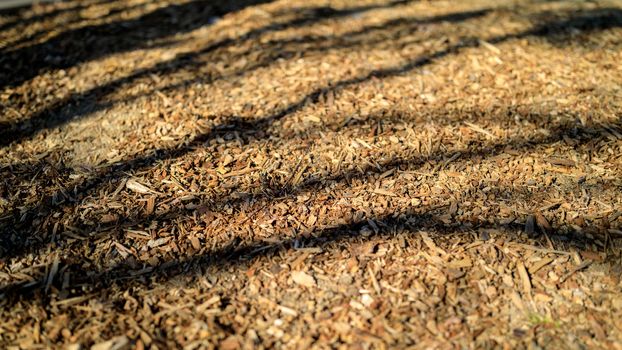 Background of dry leaves with tree shadow.