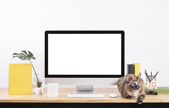 Mockup Blank screen desktop computer and decorations with cat animal on wood table and white wall background.