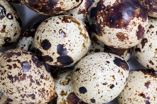 Background of fresh quail eggs group.
