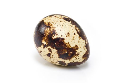 Studio shot of fresh quail egg isolated on white background.
