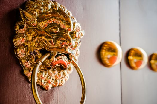 Shiny metal lion door knocker at the wooden gate.