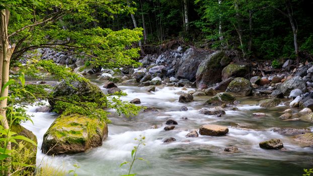 Creek flowing over rock in rainforest with slow shutter speed.