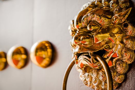 Shiny metal lion door knocker at the wooden gate.