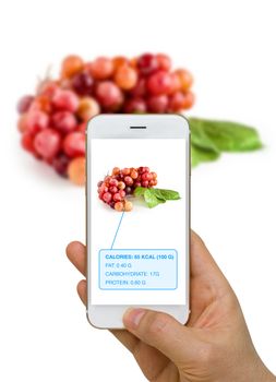 Smart device screen showing food, grape, nutrition information using augmented reality or AR technology.