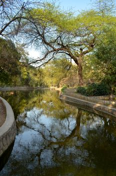 Water body surrounded by trees and its reflection in Lodhi Garden, New Delhi, India. The Lodi dynasty was an Afghan dynasty that ruled the Delhi Sultanate from 1451 to 1526.