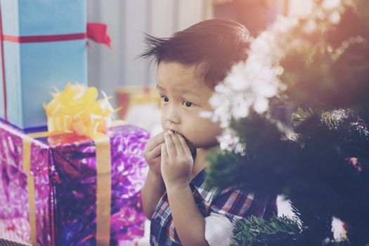 Father and son help to decorate the Christmas tree.