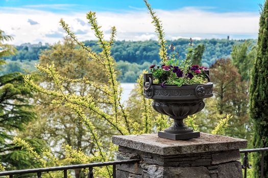 Vase with flowers overlooking Lake Bodensee on Mainau Island. Background blur.