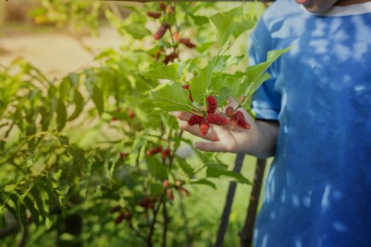 Cute little girl learning how to farm and garden