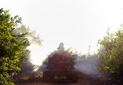 Rear view of Tractor spraying pesticide and insecticide on lemon plantation in Spain. Weed insecticide fumigation. Organic ecological agriculture. A sprayer machine, trailed by tractor spray herbicide.