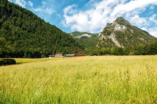 Summer Landscape near Königssee Lake with mountains in the background, Bavaria, Germany