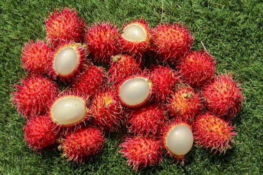 Close up of a Rambutan peeled. Top view healthy fruits on green lawn. Ready to eat sweet Bali fruit. Fruit is rounded oval single-seeded berry covered with fleshy pliable spinesSelected focus.