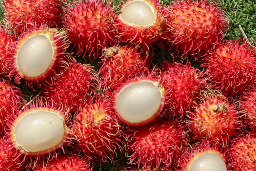 Full frame shoot of bunch of red rambutan fruits. Close up Rambutan peeled. Top view healthy fruits rambutans. The sweet fruit is a round to oval single-seeded berry covered with fleshy pliable spines