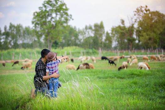 Father and son sat looking at the sheep on their farm and pointing their hands toward the sheep happily.