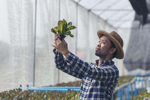 New-age farmers happily smile on his vegetable farm, farmers, agriculture.