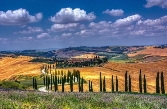 Tuscany, Italy - July 5, 2018: Cypress trees and meadow with typical tuscan house, Val d'Orcia, Italy - Tuscany