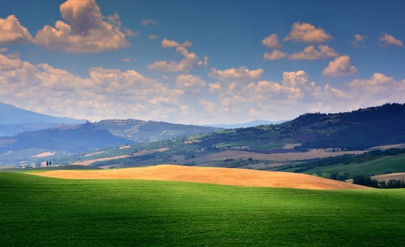 Tuscany rural sunset landscape. Countryside farm, cypresses trees, green field, sun light and cloud. Italy, Europe.