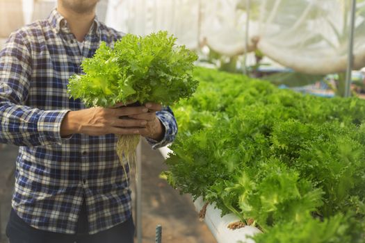 New-age farmers happily smile on his vegetable farm, farmers, agriculture.