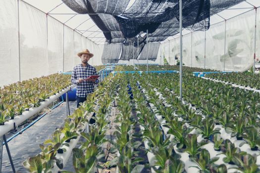 New-age farmers happily smile on his vegetable farm, farmers, agriculture.