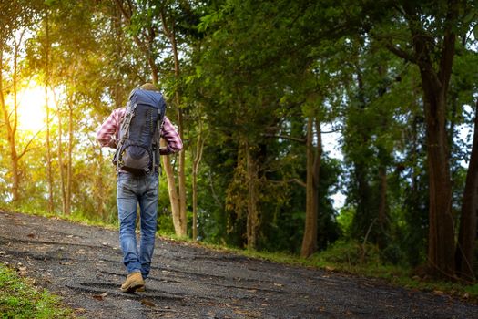 The handsome man is touring in the woods during the holidays. Hiker walking in the forest. Autumn, nature, people concept