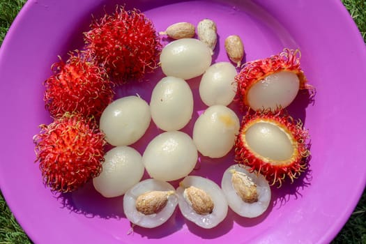 Close up of rambutan, whole and peeled fruits. Top view Healthy fruits on purple background. Ready to Eat Sweet Bali Fruit. Fruit is rounded oval single-seeded berry covered with fleshy pliable spines