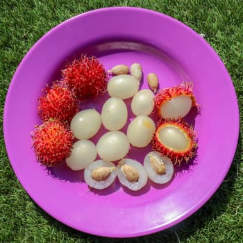 Close up of rambutan, whole and peeled fruits. Top view Healthy fruits on purple background. Ready to Eat Sweet Bali Fruit. Fruit is rounded oval single-seeded berry covered with fleshy pliable spines