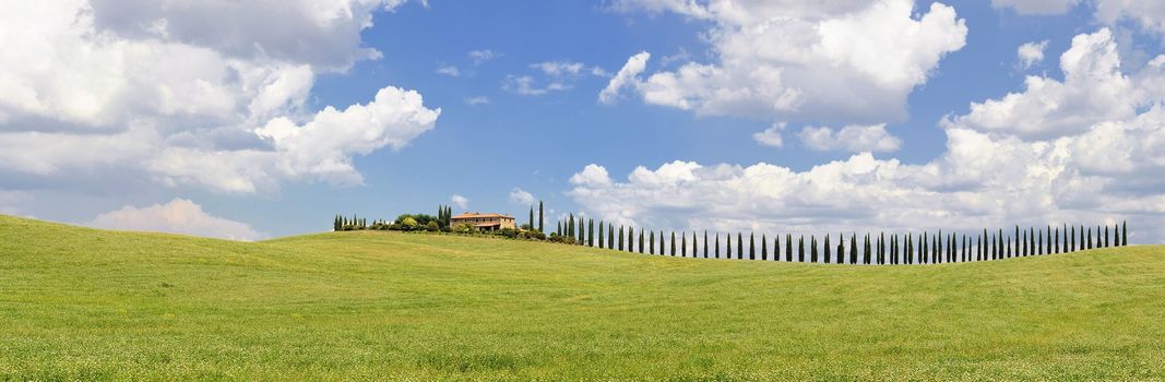 Tuscany, Italy - July 6, 2018: Cypress trees and meadow with typical tuscan house, Val d'Orcia, Italy - Tuscany