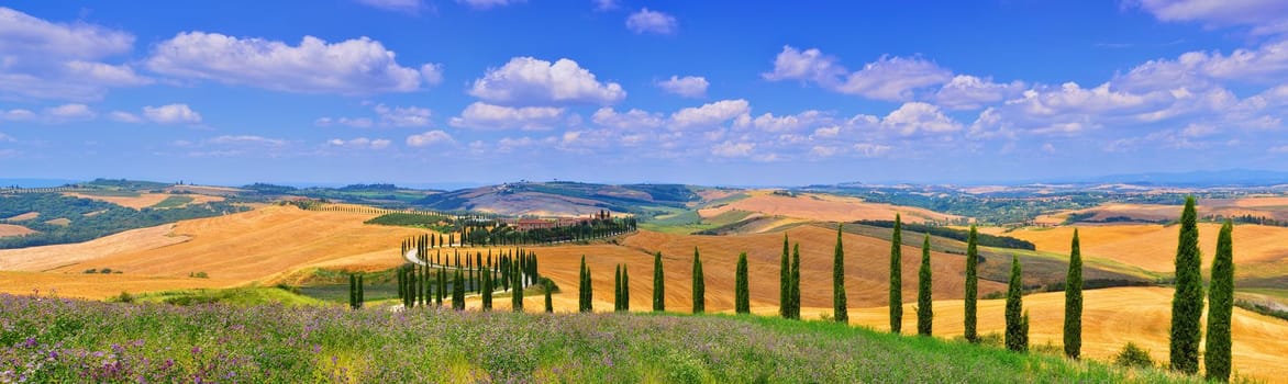 Tuscany, Italy - July 5, 2018: Cypress trees and meadow with typical tuscan house, Val d'Orcia, Italy - Tuscany