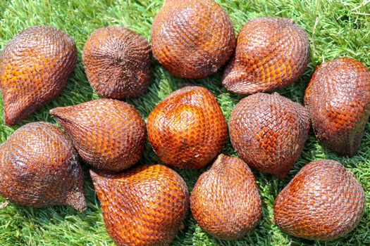 Salak pondoh is one of the salak cultivars that grow mostly in the area of Sleman. Sweet Salacca zalacca or Snake fruit isolated on green background. The taste of Salak fruit is delicious.