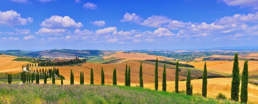 Tuscany, Italy - July 5, 2018: Cypress trees and meadow with typical tuscan house, Val d'Orcia, Italy - Tuscany