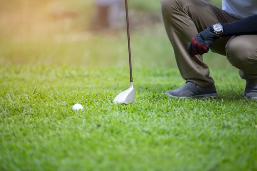 Golf player check line for putting golf ball on green grass. Golf player crouching and study the green before putting shot