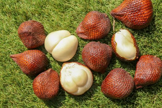Salak pondoh is one of the salak cultivars that grow mostly in the area of Sleman. Sweet Salacca zalacca or Snake fruit isolated on green background. The taste of Salak fruit is delicious.