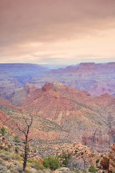 South Rim Grand Canyon before sunset, Arizona, US.