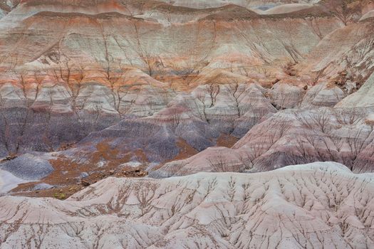 Nature Painted Desert, Petrified Forest National Park, Arizona, USA