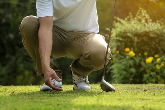 Golf player check line for putting golf ball on green grass. Golf player crouching and study the green before putting shot