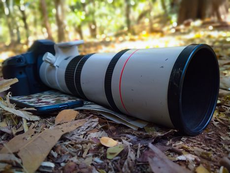 Camera with attached lens lays on dry leaves in the forest