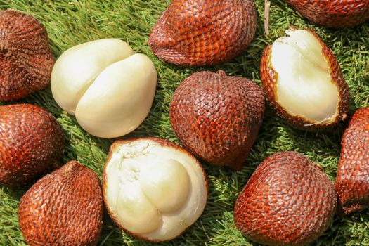 Salak pondoh is one of the salak cultivars that grow mostly in the area of Sleman. Sweet Salacca zalacca or Snake fruit isolated on green background. The taste of Salak fruit is delicious.