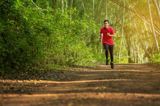 Handsome young man runs for good health on a rural road that is full of forests and beautiful nature.