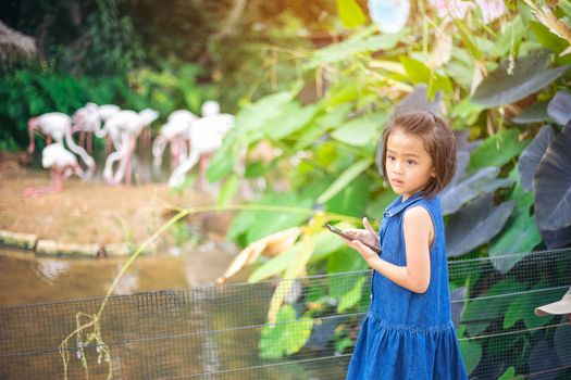 Asian kids girls are traveling and learning in the zoo with pleasure and fun.