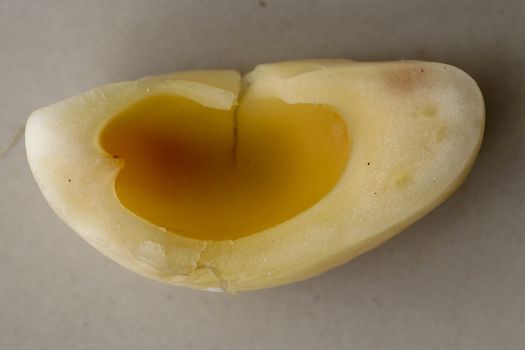 Close up of single piece of Snake fruit. Top view of single healthy fruit. Salak pondoh is one of the salak cultivars that mostly grows in area of Bali. Macro photo of Sweet Salacca zalacca.