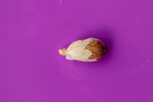 One piece of fresh red rambutan isolated on white background. Top view of a seed of Nephelium lappaceum fruit. Rambutan seed close-up macro, isolated.