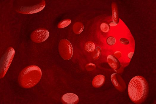 3D rendering of red blood cells in vein system.