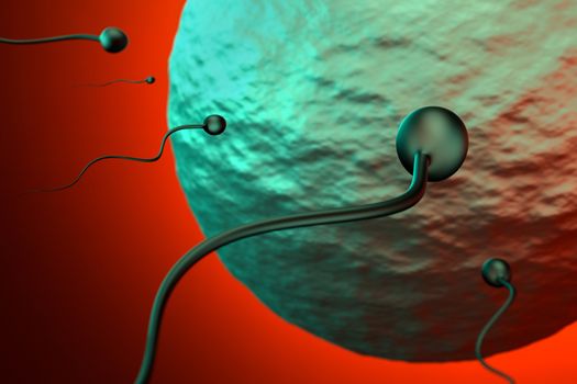 3D rendering for fertilization of sperm and egg.