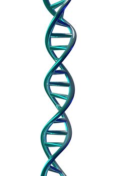3D rendering of DNA helix isolated on white background.