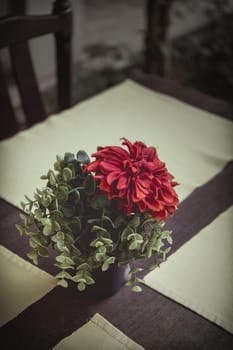 Cute red flower on food table in  restaurant.