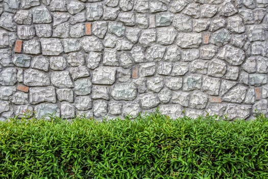 Background of stone wall and bush in HDR.