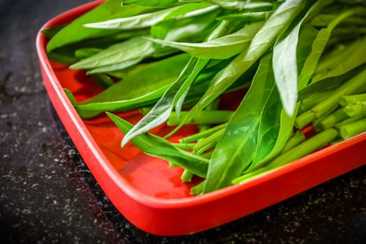 Tray containing prepared fresh morning glory for cooking.