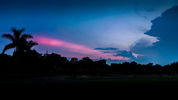 Background silhouette of trees and sky at sunset or sunrise in HDR.