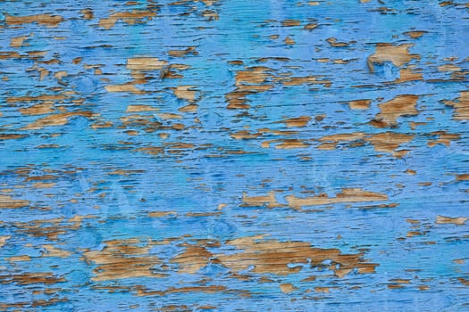 Blue background. Blue wood texture. Old wood texture.