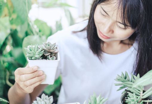 Closeup woman hand holding succulent plant in pot for decoration with vintage tone, selective focus