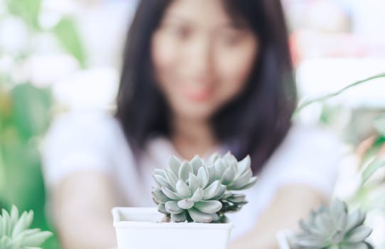 Woman hand holding succulent plant in pot for decoration with vintage tone, selective focus